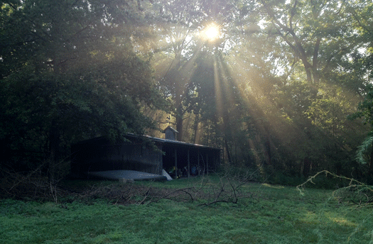 Barn Light Scene