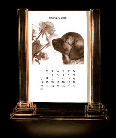 2010 Leonberger Calendar Desktop