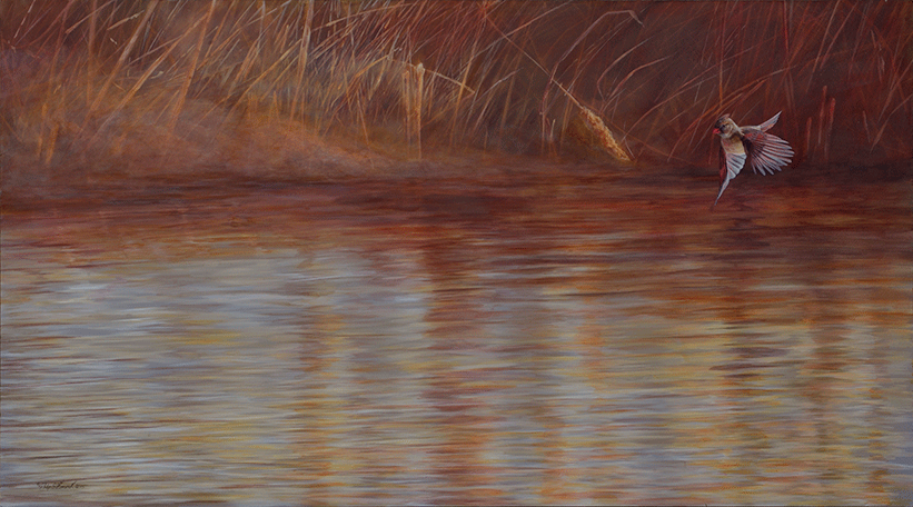Cardinal at Gray's Bay