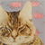 cat crop