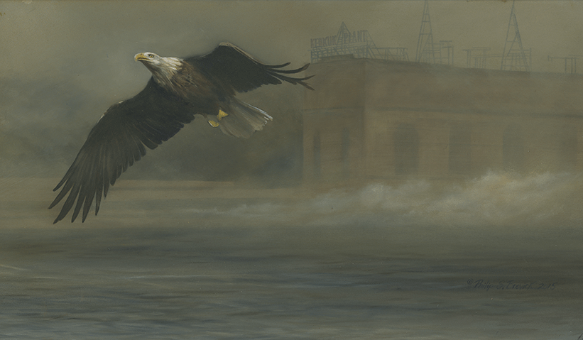 Eagle & Fog Lock and Dam 19