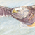 Eagle at Gray's Point