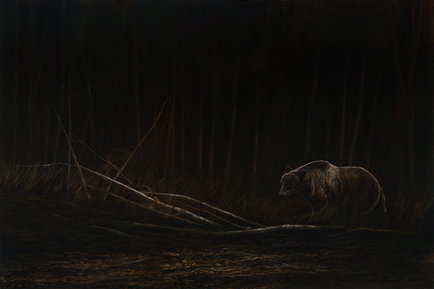 Grizzly Out from the Dark