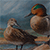 Green-winged Teal