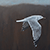 Mississippi Gull Painting