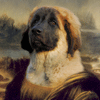 mona crop