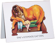 leonberger_notecard_sofa