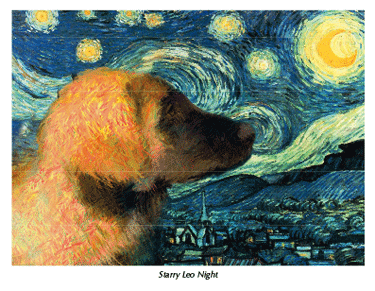 notecards starry