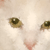 poki watercolor crop