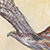Red Tailed Hawk Flight Fencepost