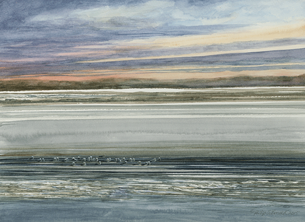Seagulls on Ice
