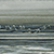 Seagulls on Ice