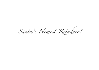 sleigh_inside