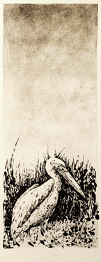 stork