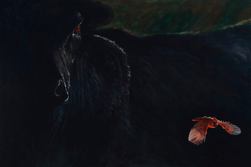 Study of Dark, Red & Light