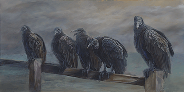Vultures