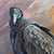 Vulture
