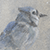 Winter Bluejay