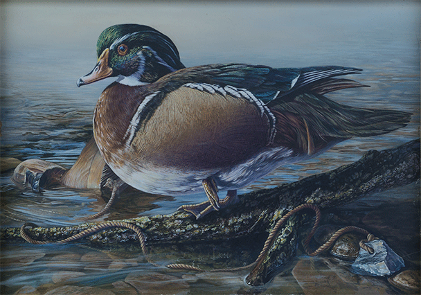 Woodduck and Decoy