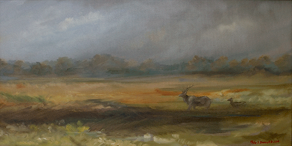 yellowstone elk